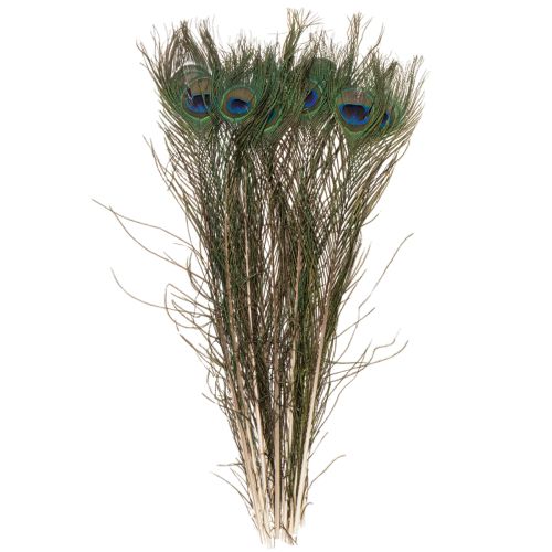 Artikel Påfågelfjädrar, riktiga fågelfjädrar för pyssel och dekoration, 55 cm, 10 stycken