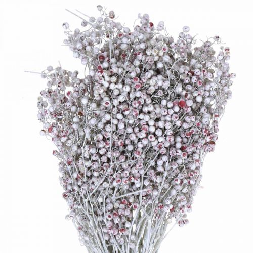 Floristik24 Snöade pepparbär, vinterdekoration, torkade blommor, advent, rosa paprika tvättad vit 170g
