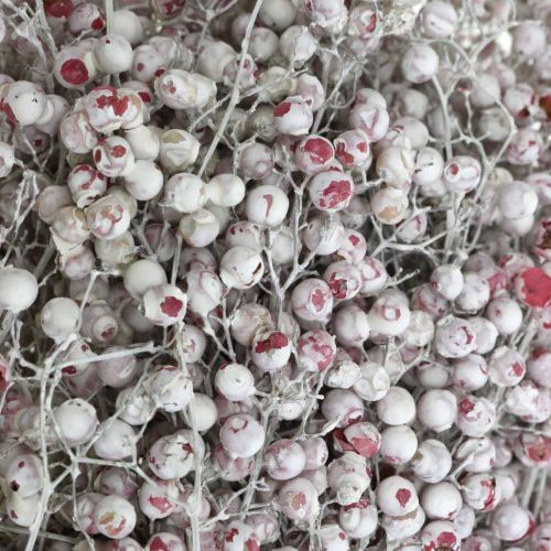 Floristik24 Snöade pepparbär, vinterdekoration, torkade blommor, advent, rosa paprika tvättad vit 170g