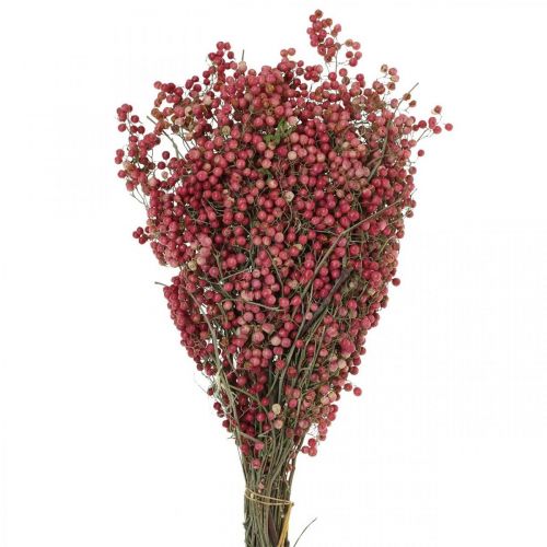 Floristik24 Pepparbär, torkade blommor, advent, rosépeppar, vinterdekorationer L40–45cm 200g