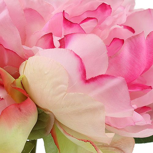 Floristik24 Pioner med knopp rosa L30cm 2st