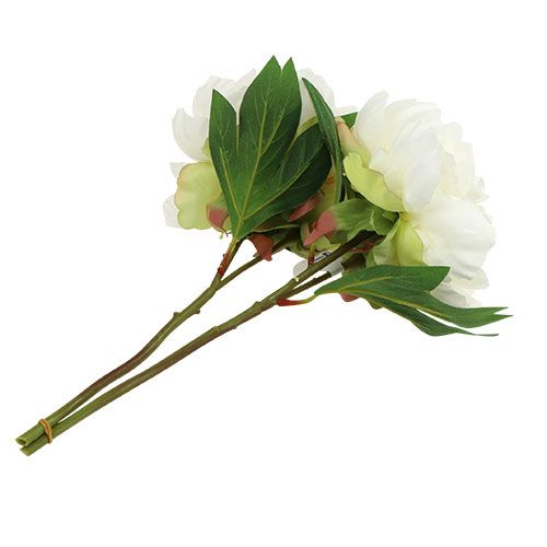 Floristik24 Pioner med knopp vit L30cm 2st