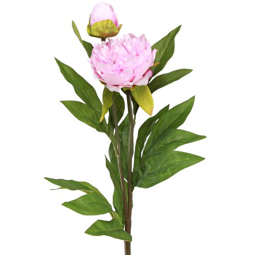 Floristik24 Pion konstgjorda blommor rosa med lång stjälk 70cm 3st