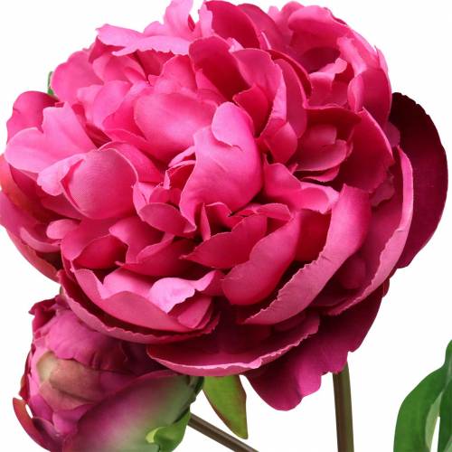 Floristik24 Pion konstgjord blomma med blomma och knopp lila magenta 68cm