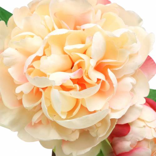 Floristik24 Pion med blomma och knopp konstgjord persika 70cm