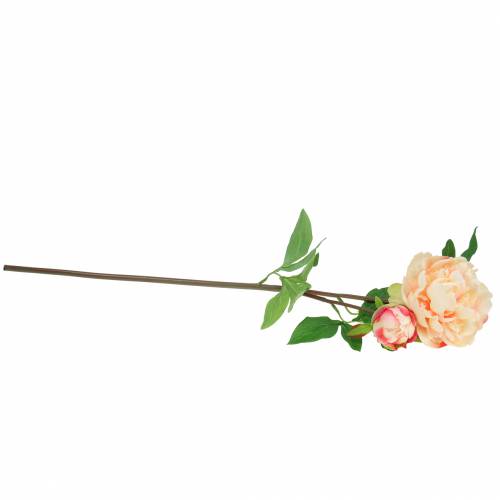 Floristik24 Pion med blomma och knopp konstgjord persika 70cm