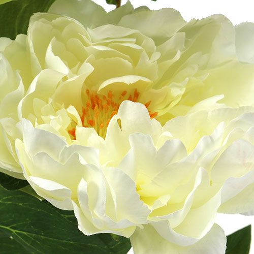 Floristik24 Pion konstgjorda blommor grädde L70cm