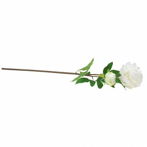 Floristik24 Pionvit 72cm