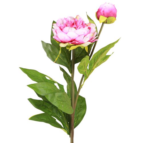 Floristik24 Pioner Långstammiga konstgjorda blommor Rosa 70cm 3st