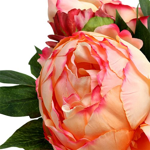 Floristik24 Pionbukett persika 30 cm
