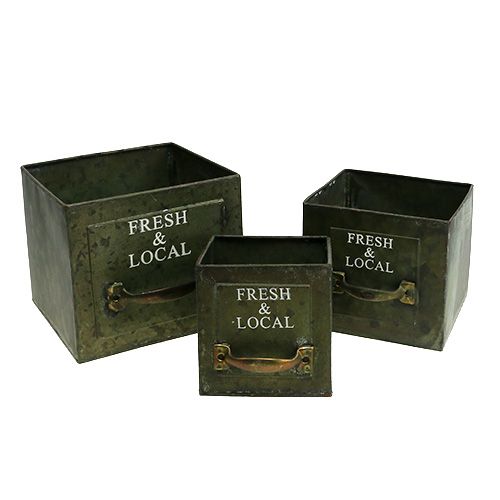 Floristik24 Planteringslåda med 3 antikgrön