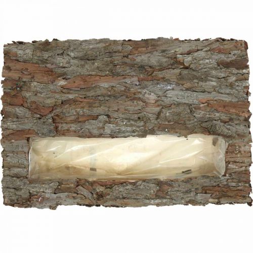 Artikel Dekorativ glasunderlägg med växttråg tallbark 45×30cm H6cm