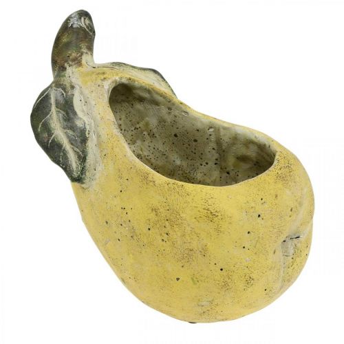 Päron för plantering, höstdekoration, betongkärl L19cm H15,5cm