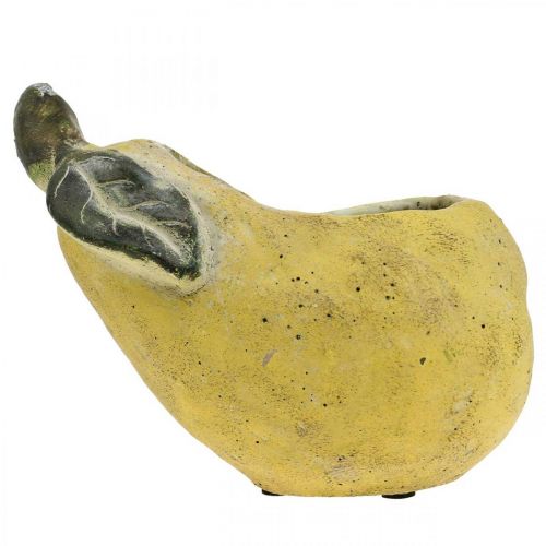 Artikel Päron för plantering, höstdekoration, betongkärl L19cm H15,5cm