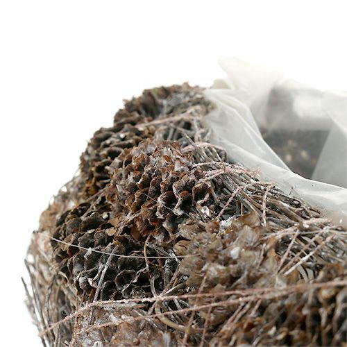 Floristik24 Växthjärta av kottar 29 cm x 20 cm vita 2st