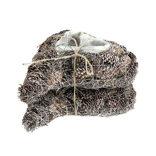 Floristik24 Växthjärta av kottar 29 cm x 20 cm vita 2st