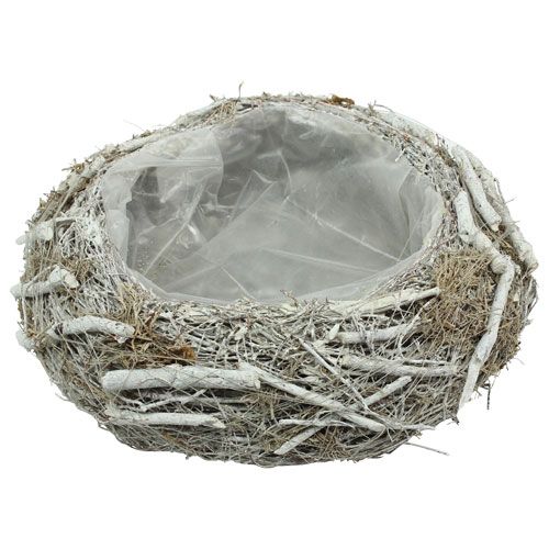 Floristik24 Plantskål grå Ø25cm