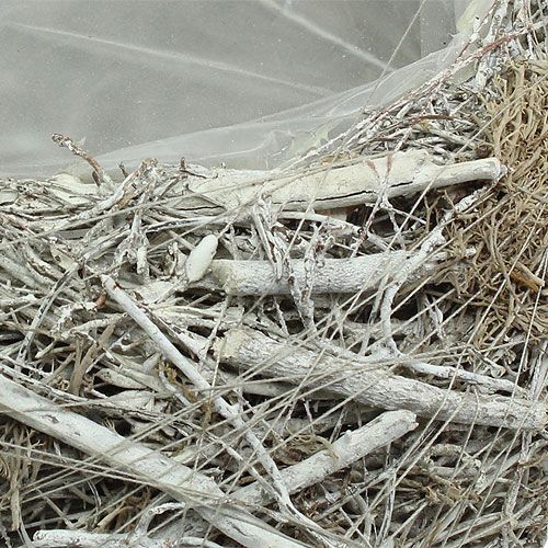 Floristik24 Plantskål grå Ø25cm