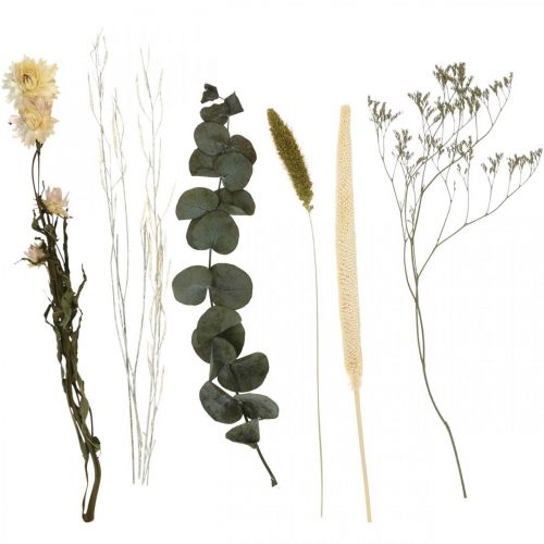 Floristik24 Torkade blommor bukett eukalyptus torr blomsterset H30-35cm