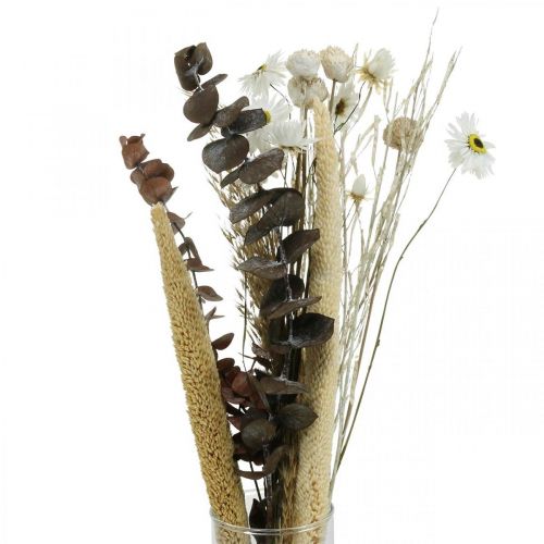 Floristik24 Bukett torkade blommor med eukalyptusvit DIY-låda H30-35cm