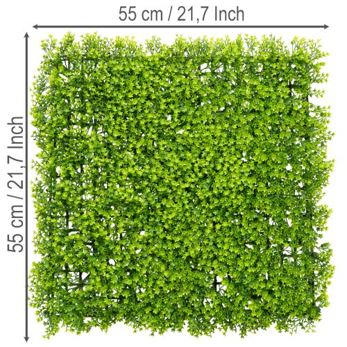 Konstgjord buxbomsplanta 55x55 cm för dekorativ väggdekoration | Floristik24.se