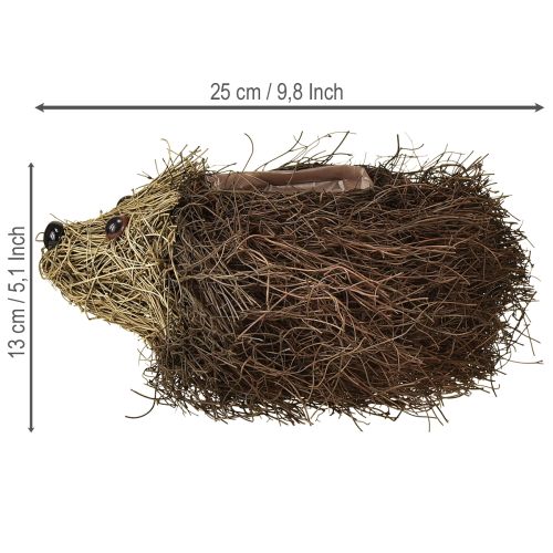 Artikel Igelkottplanter gjord av vinrankor 22 cm x 25 cm