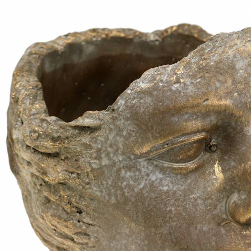 Floristik24 Växthuvud växt byst guld H20cm