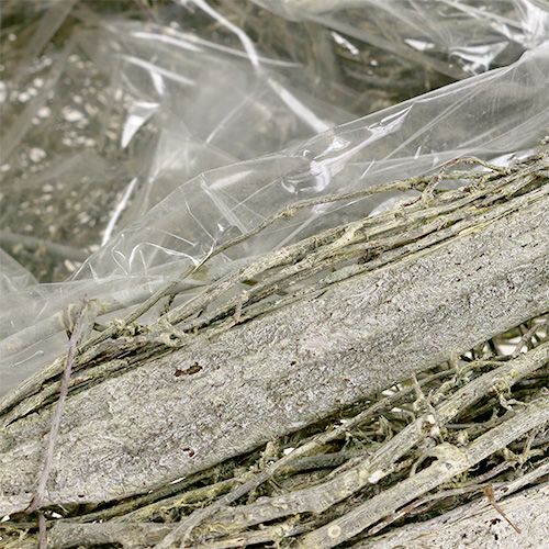 Floristik24 Växthjärtgrön tvättad L25cm W20cm