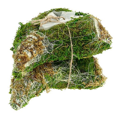Floristik24 Plantera hjärta mossa 30 cm x 20 cm 2 st