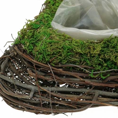 Floristik24 Planthjärtranka, mossa 26×36cm H9cm