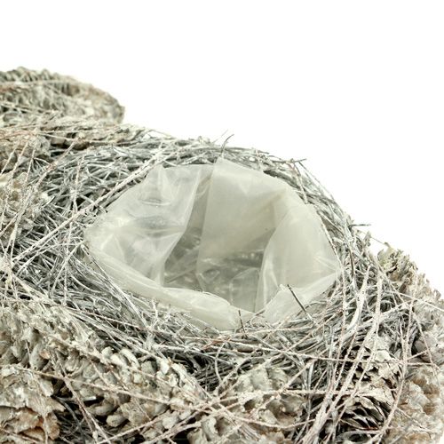 Floristik24 Växthjärta gjord av kottar 26x27cm vit 2st