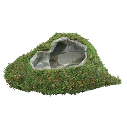 Floristik24 Växthjärta mossgrön växtskål hjärta 26×30×8cm