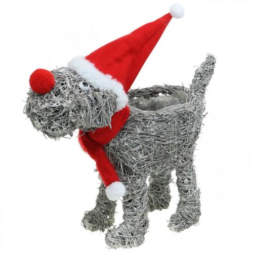 Hund för plantering, juldekoration, växtkorg, advent H30cm L29,5cm