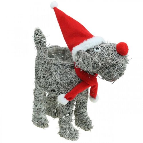 Artikel Hund för plantering, juldekoration, växtkorg, advent H30cm L29,5cm