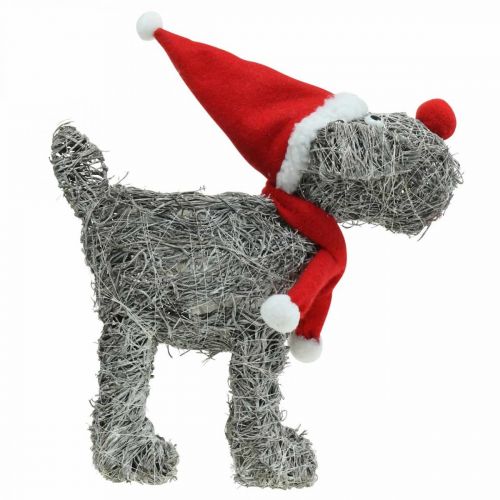 Artikel Hund för plantering, juldekoration, växtkorg, advent H30cm L29,5cm