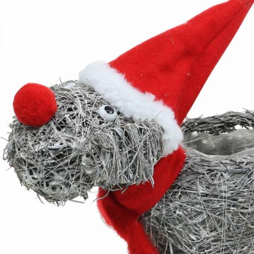 Artikel Hund för plantering, juldekoration, växtkorg, advent H30cm L29,5cm