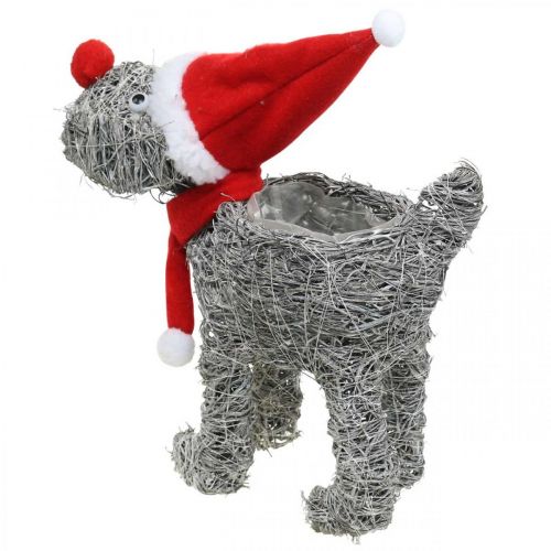 Artikel Hund för plantering, juldekoration, växtkorg, advent H30cm L29,5cm