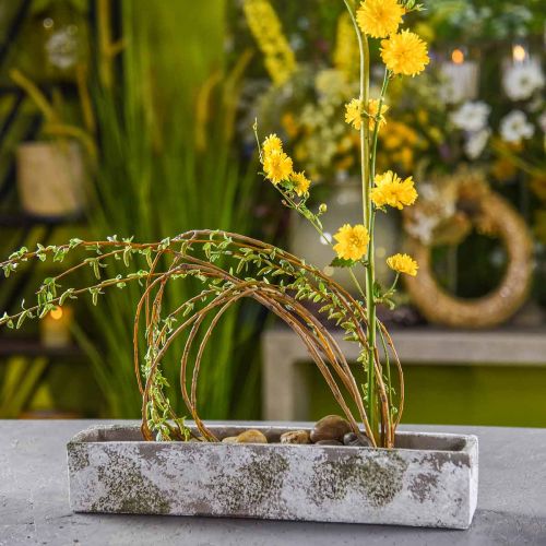 Floristik24 Planteringskärl i betong antik look Rektangulär blomlåda 40×8×7cm