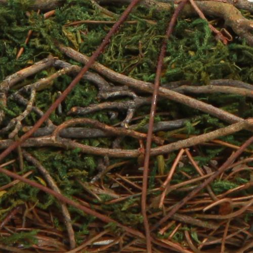 Artikel Växtkudde vinrankor mossa växtskål naturlig 20×20×6,5 cm