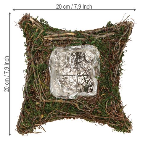 Artikel Växtkudde vinrankor mossa växtskål naturlig 20×20×6,5 cm