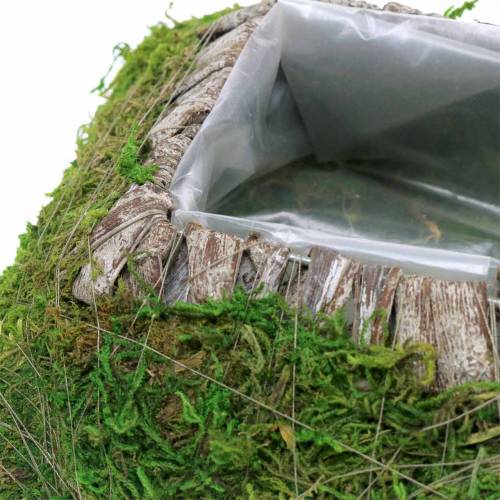 Artikel Växtkudde mossa, bark 25cm × 25cm