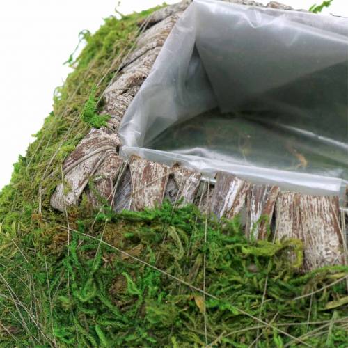 Floristik24 Växtkudde mossa, bark 25cm × 25cm