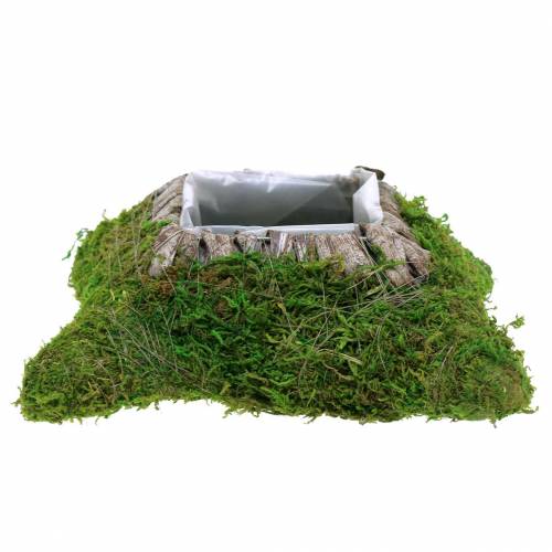 Floristik24 Växtkudde mossa, bark 25cm × 25cm