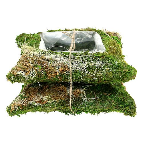 Floristik24 Växtkuddmossa 25cm x 25cm 2st