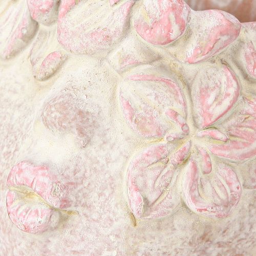 Artikel Växthuvud kyss mun byst för plantering rosa 18cm 3 st