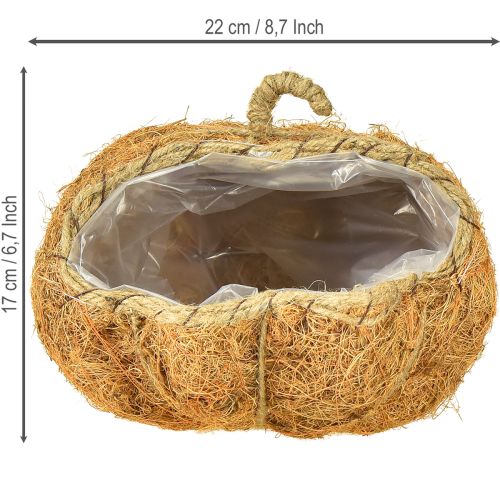 Artikel Växtkorg pumpa höstdekoration orange Ø22cm H17cm