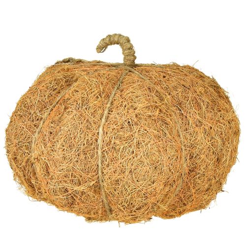 Artikel Växtkorg pumpa höstdekoration orange Ø22cm H17cm
