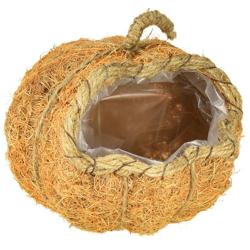 Växtkorg pumpa med folie höstdekoration orange Ø18cm H15cm