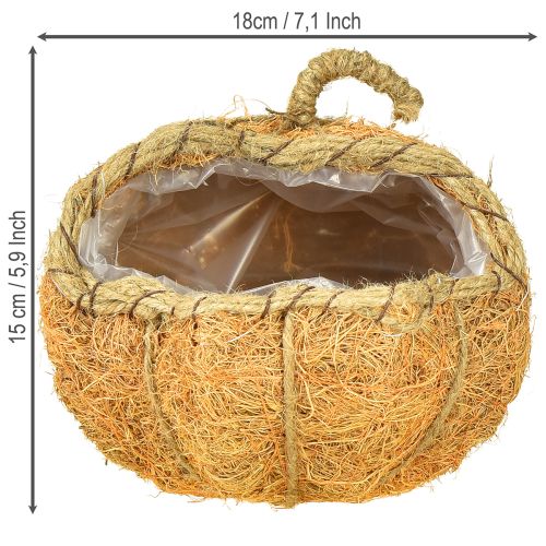 Artikel Växtkorg pumpa med folie höstdekoration orange Ø18cm H15cm