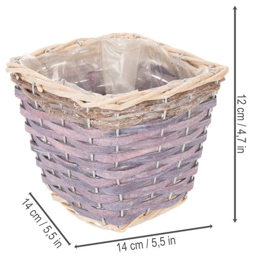  | Floristik24.se